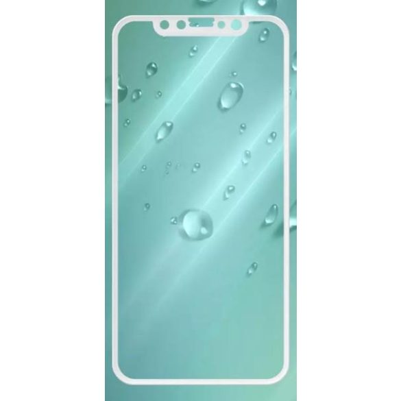 Joway BHM13 iPhone 11 Pro / X XS (5,8") fehér előlapi üvegfólia