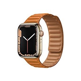 Apple Watch 7 (45mm) üvegfólia