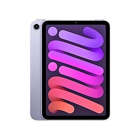 iPad mini (6.gen.) 8.3" (2021) tok